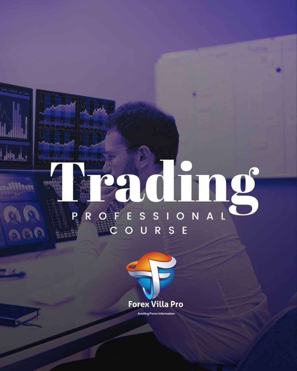 Professional Course
